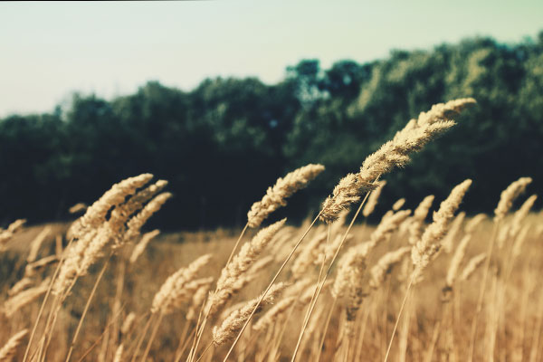 手机号在线压测平台
